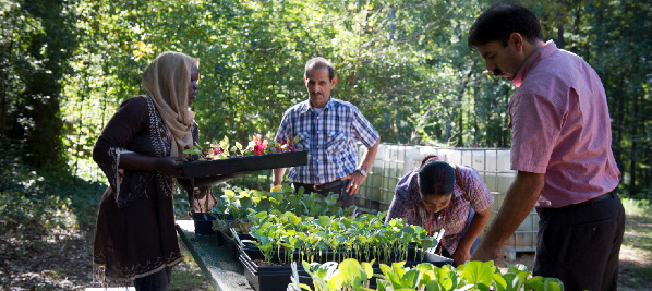 Participants helping the GCDD Real Communities Clarkston international garden