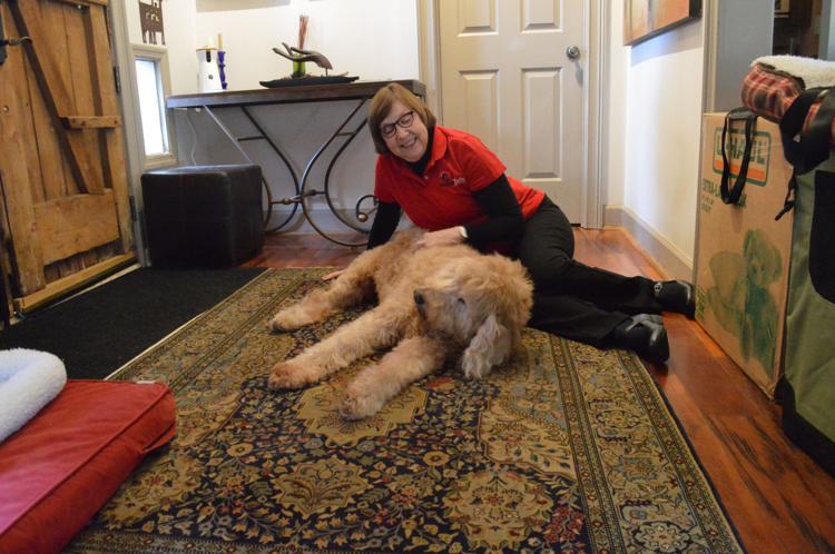 Sen. Kay Kirpatrick, R-East Cobb, pets Dobie, her Golden Doodle