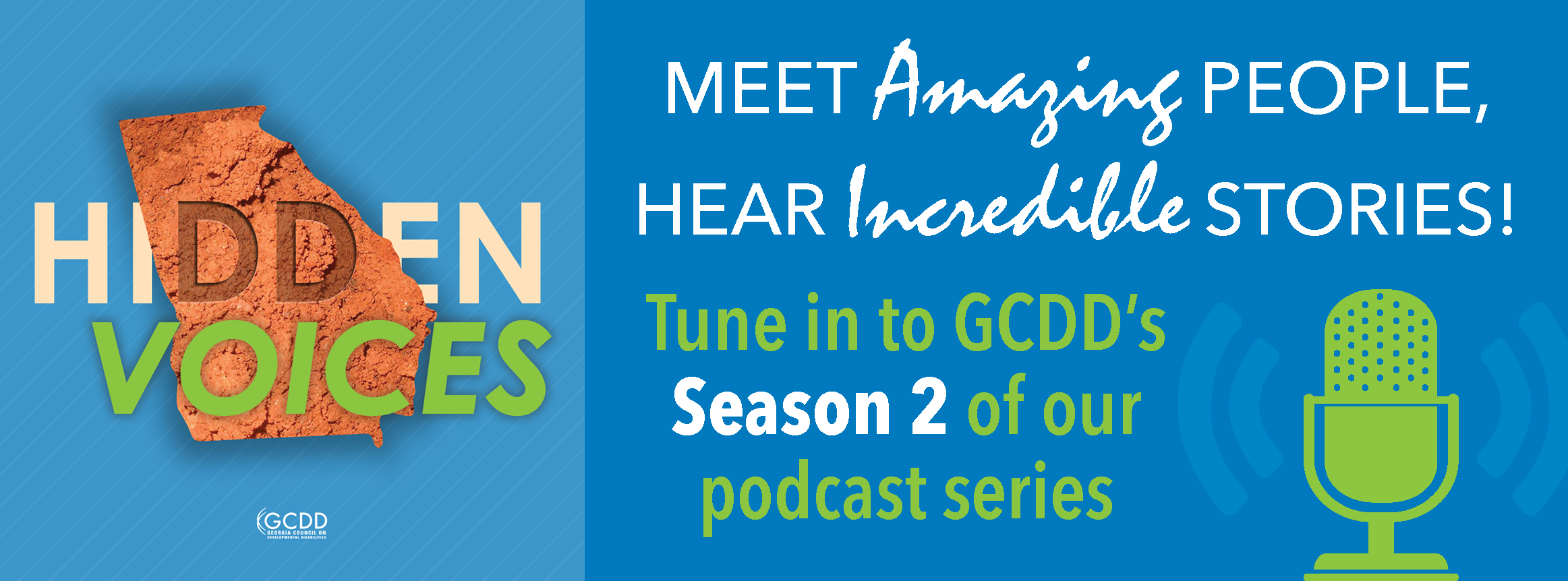 Hidden Voices Podcast Series