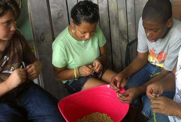 Shelling peas at camp